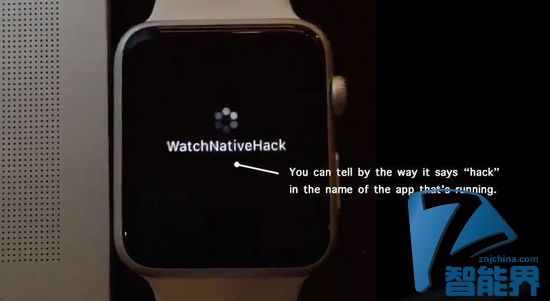 Apple Watch SDK被黑？