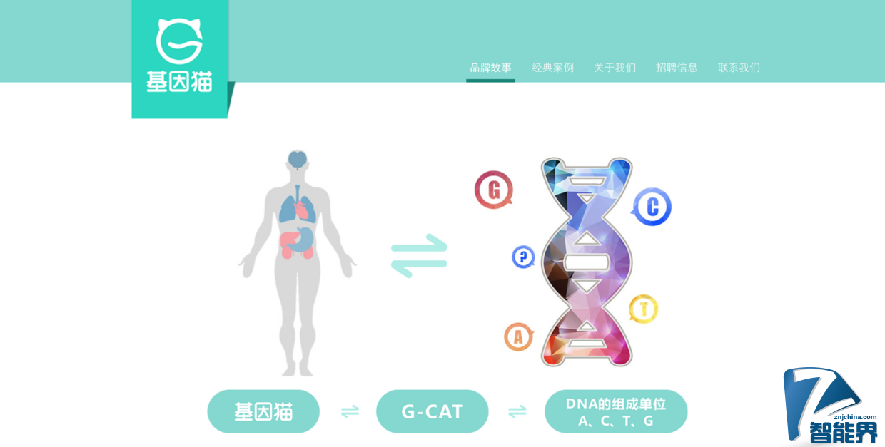 基因檢測(cè)可能要打價(jià)格戰(zhàn)了，全環(huán)節(jié)自研的 “基因貓” 能突圍而出嗎