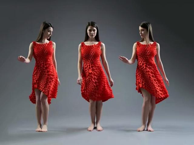 夠fashion 1600片花瓣的3D打印裙