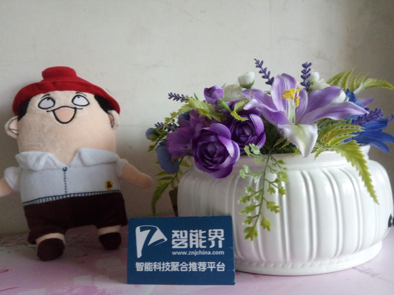 會呼吸的家居擺件，優(yōu)山美地負(fù)離子仿真花空氣凈化器