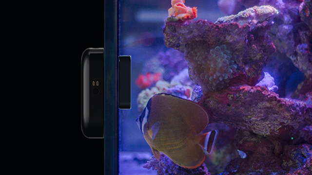 MOAI機器人不僅清潔你的水族箱還能拍照分享