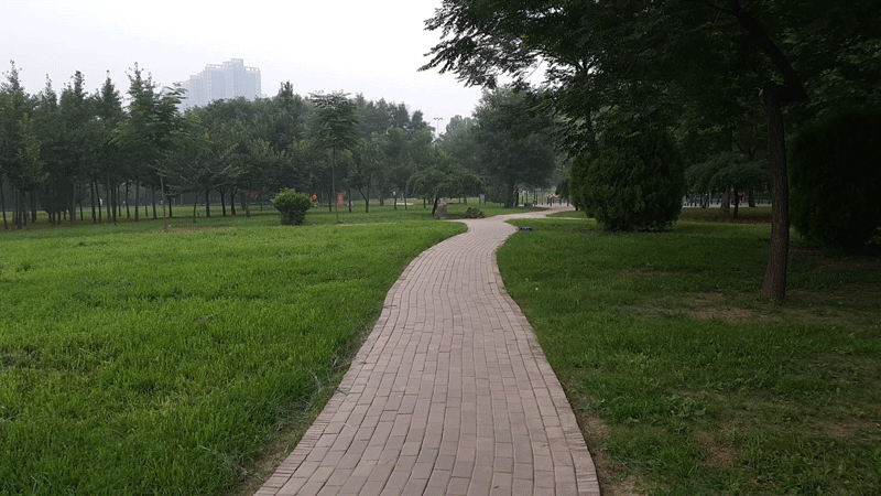 跑步不魔抓.gif