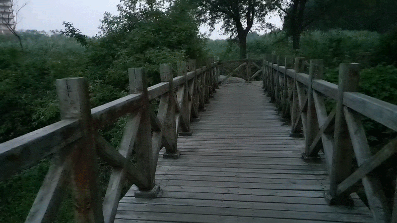 模板拍攝.gif