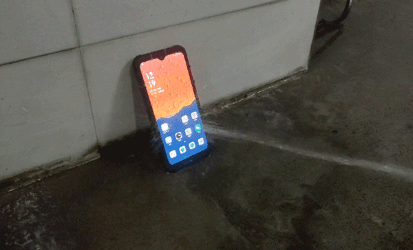 5.gif