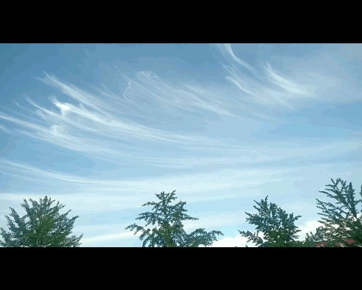 圖片31.gif