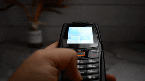 DSC_67912021818055434.gif