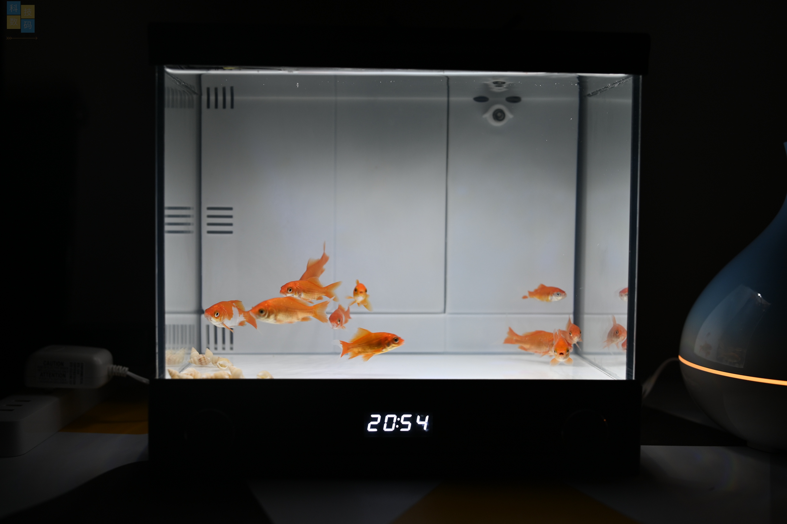 復古風的小魚缸，還有幻彩燈效加持，憶趣TV3.0體驗
