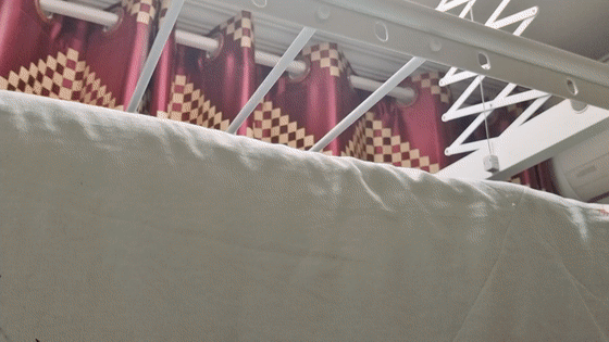 圖片22.gif