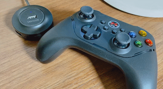 image1.gif