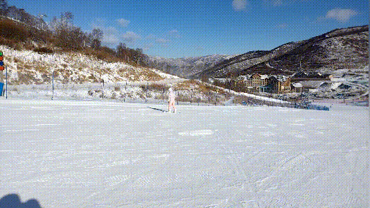 1638847400775464.gif