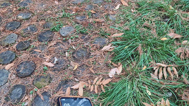 VID_20211210_171519202112161624121.gif