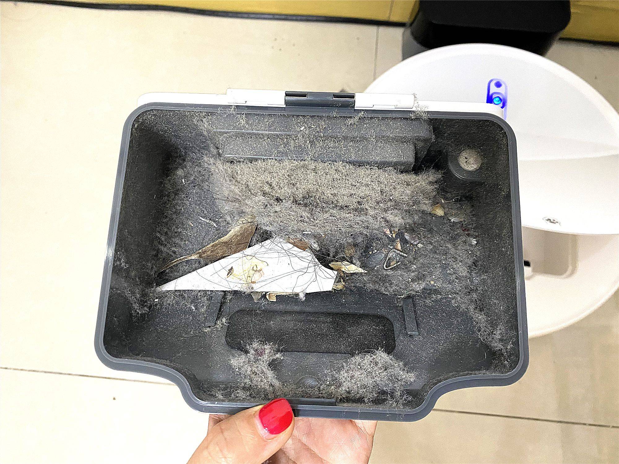 掃地模式下 吸的毛發(fā)和塵土 