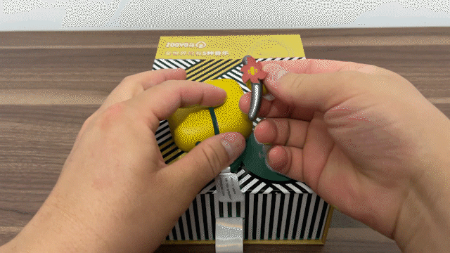裝飾片.gif