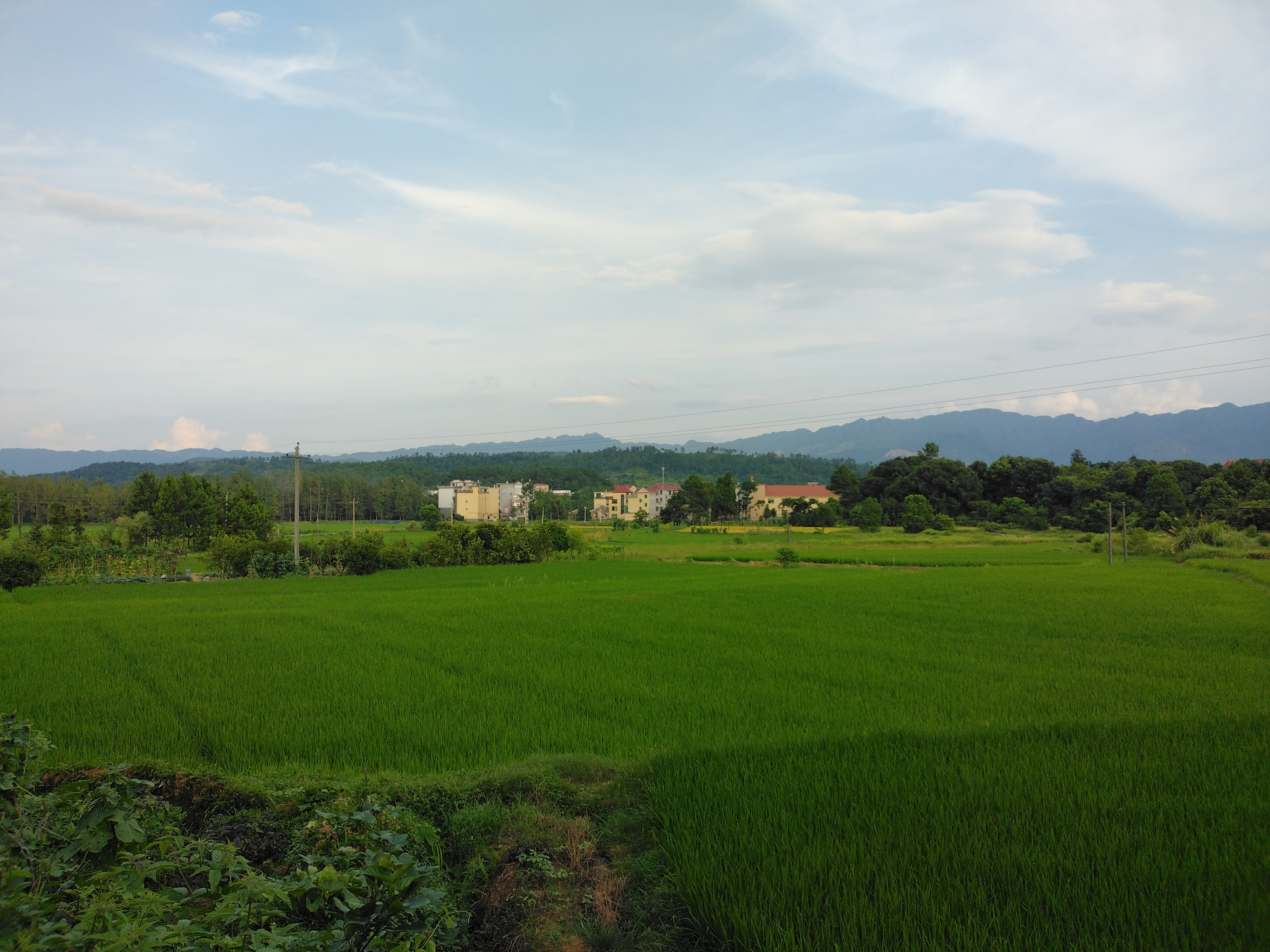 030.IMG_20220717_181418_副本.jpg