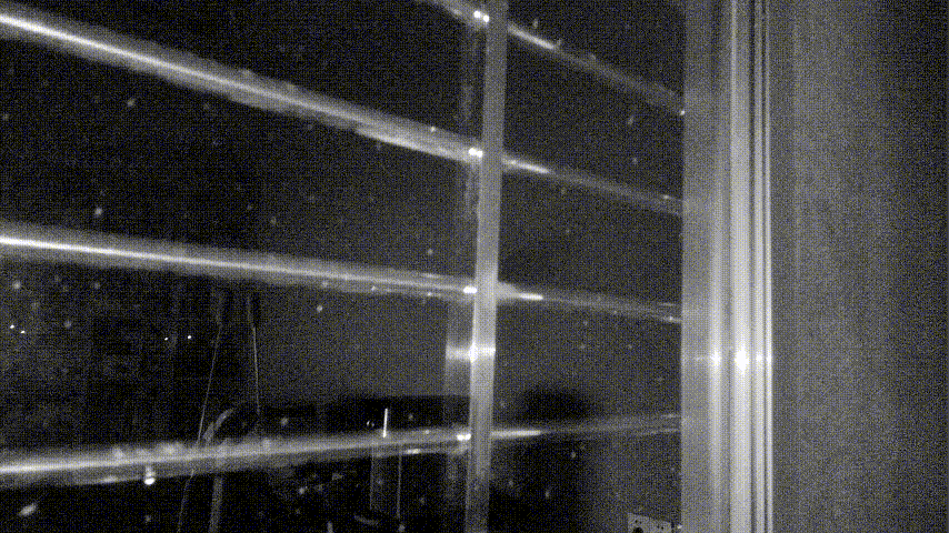 019.gif