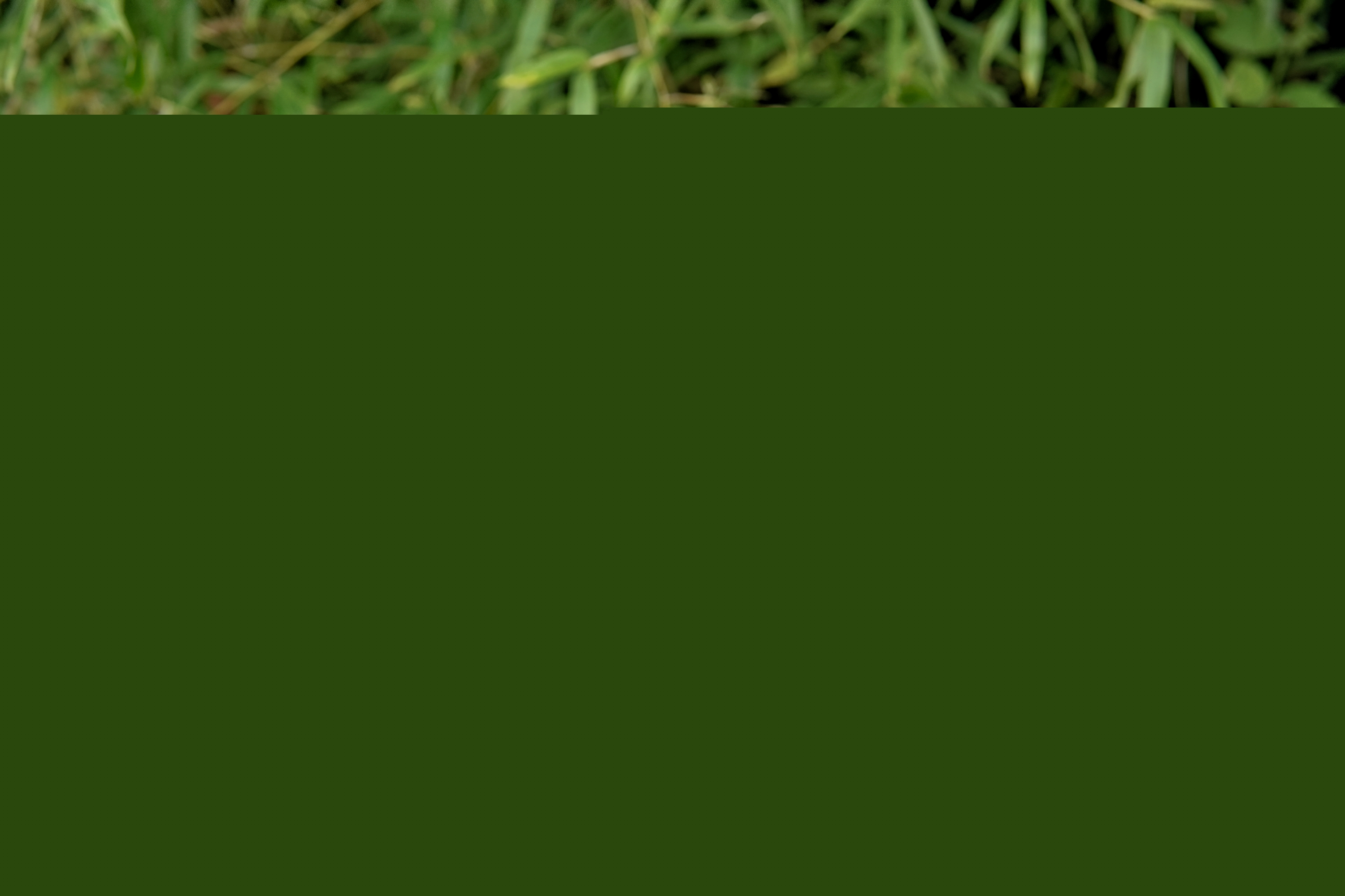007.DSC02468_副本.jpg