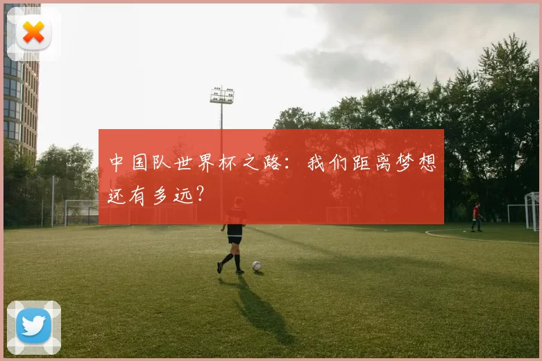 中国队世界杯之路:我们距离梦想还有多远?