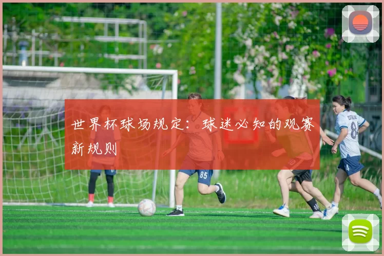 世界杯球场规定：球迷必知的观赛新规则