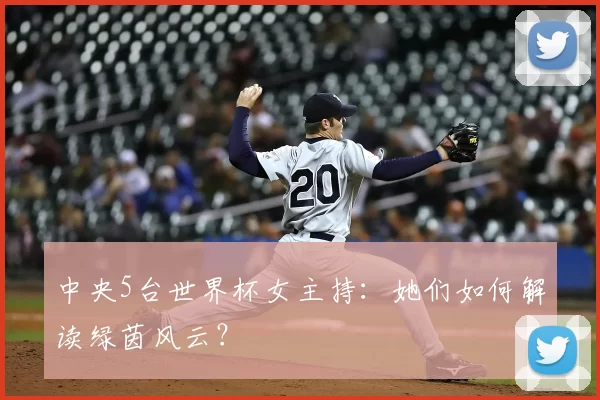 中央5台世界杯女主持：她们如何解读绿茵风云？