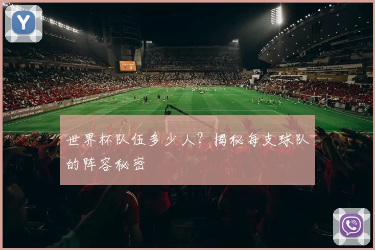 世界杯队伍多少人?揭秘每支球队的阵容秘密