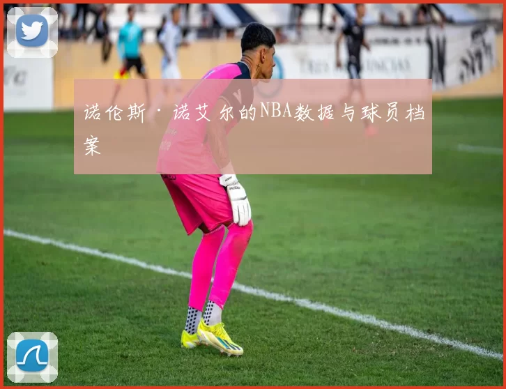 诺伦斯·诺艾尔的NBA数据与球员档案