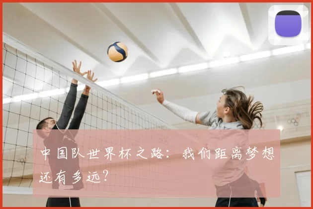 中国队世界杯之路:我们距离梦想还有多远?