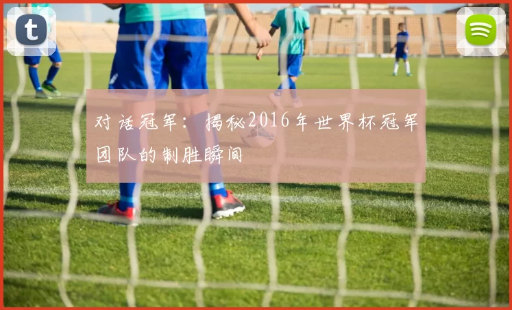 对话冠军：揭秘2016年世界杯冠军团队的制胜瞬间
