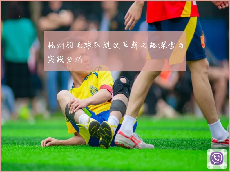杭州羽毛球队进攻革新之路探索与实践分析