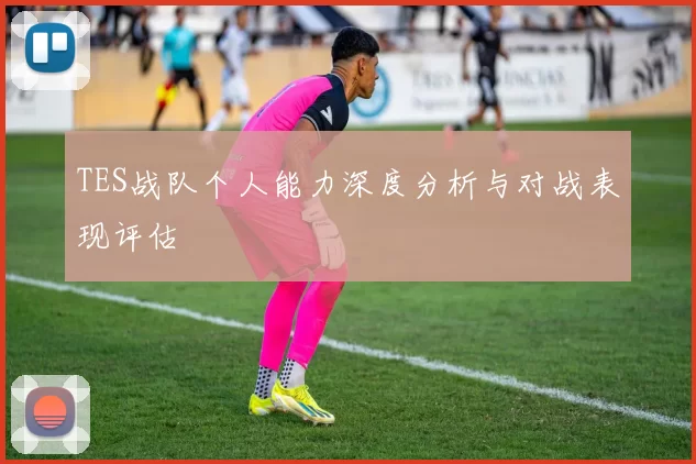 TES战队个人能力深度分析与对战表现评估
