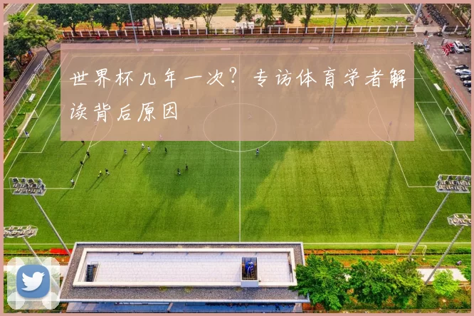 世界杯几年一次？专访体育学者解读背后原因