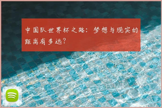 中国队世界杯之路:梦想与现实的距离有多远?