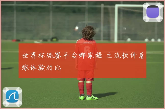 世界杯观赛平台哪家强 主流软件看球体验对比