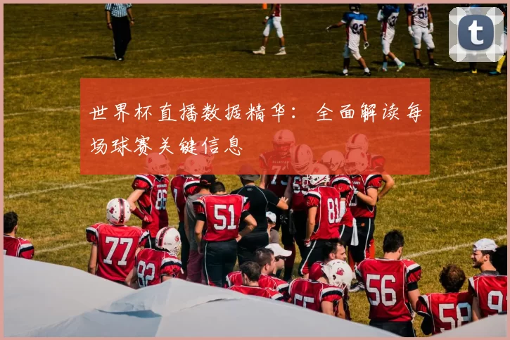 世界杯直播数据精华:全面解读每场球赛关键信息