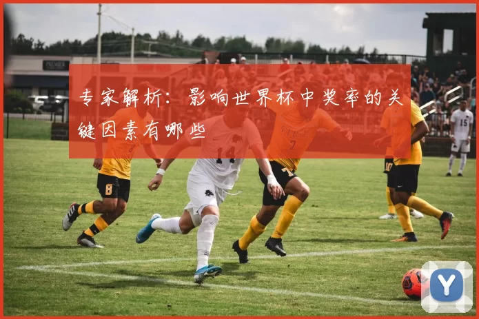 专家解析：影响世界杯中奖率的关键因素有哪些