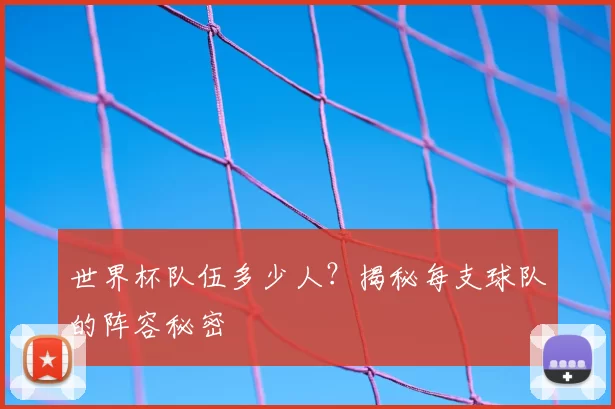 世界杯队伍多少人？揭秘每支球队的阵容秘密
