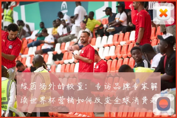 绿茵场外的较量:专访品牌专家解读世界杯营销如何改变全球消费趋势