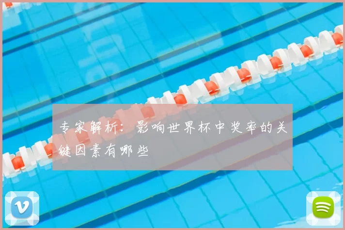 专家解析:影响世界杯中奖率的关键因素有哪些