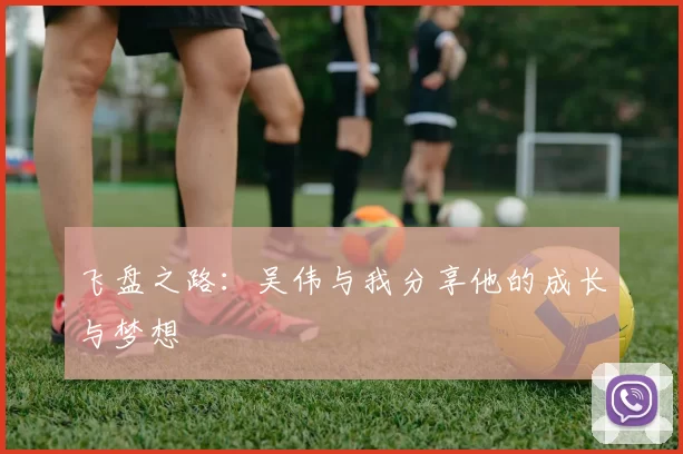 飞盘之路:吴伟与我分享他的成长与梦想
